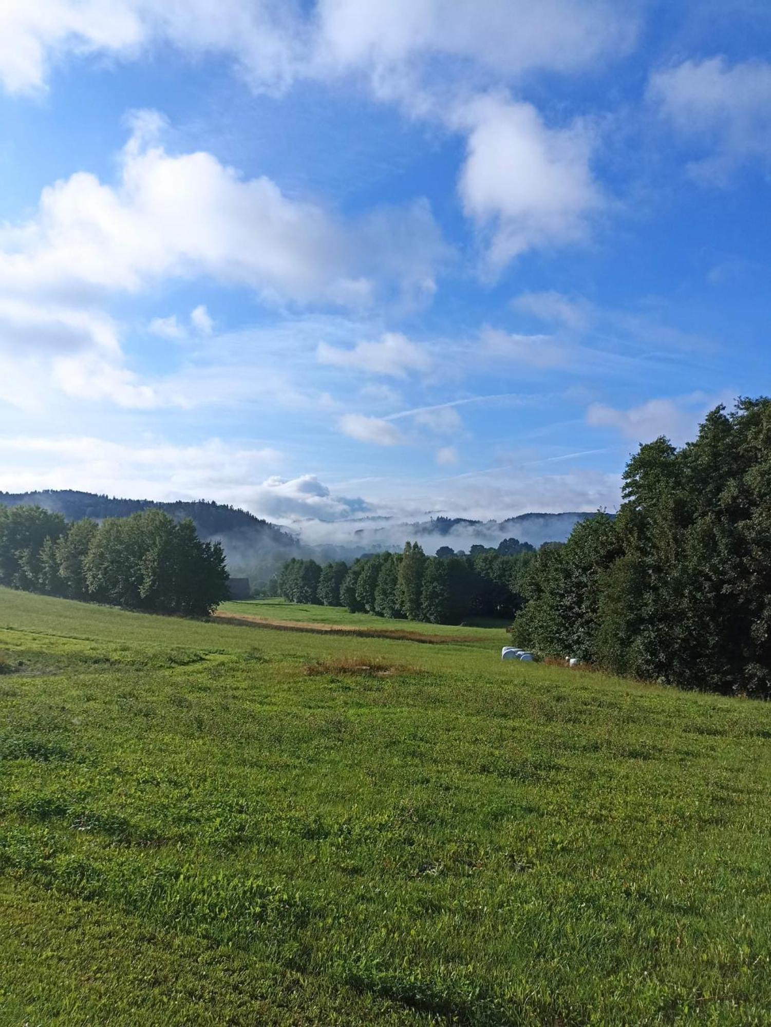 Maraska Holiday House Kamienna Gora Dış mekan fotoğraf