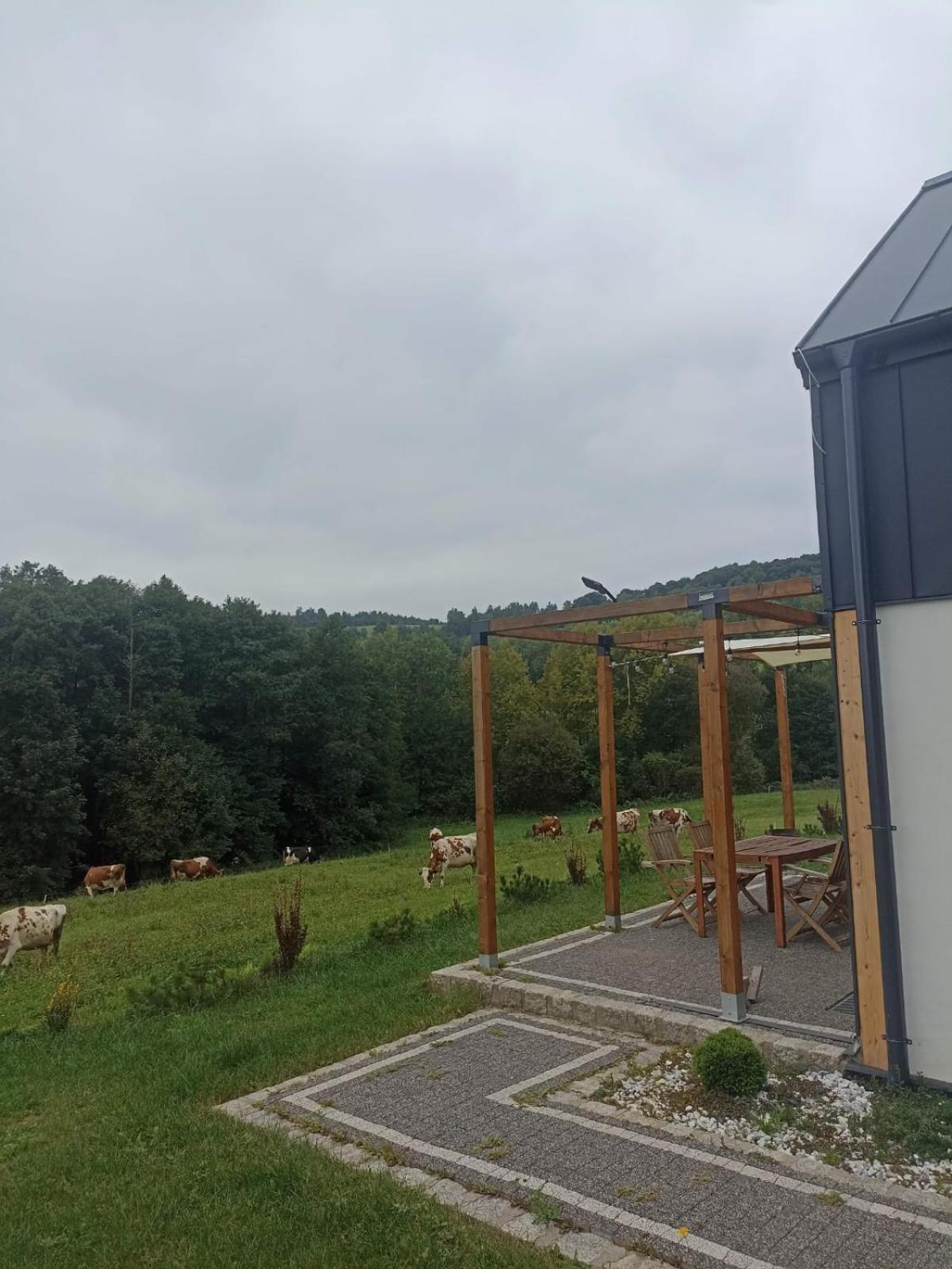 Maraska Holiday House Kamienna Gora Dış mekan fotoğraf